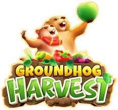 Groundhog Harvest